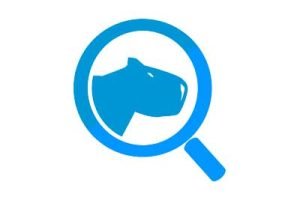 logo-capybara-seo.